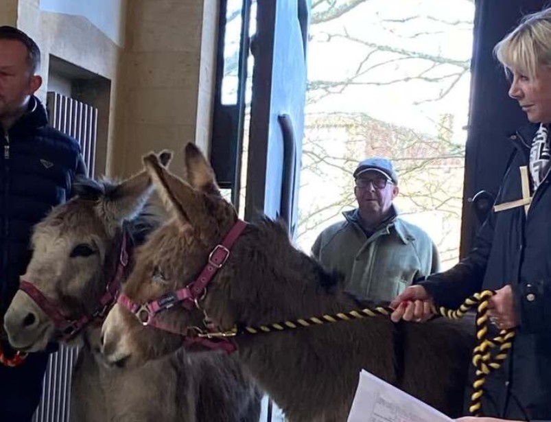 Easter Egg Hunt Portsmouth